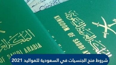 شروط منح الجنسيات في السعودية للمواليد 2021
