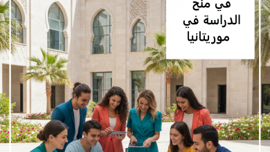 رابط التسجيل في منح الدراسة في موريتانيا