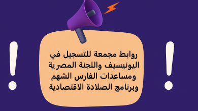 روابط مجمعة للتسجيل في اليونيسيف واللجنة المصرية ومساعدات الفارس الشهم وبرنامج الصلادة الاقتصادية