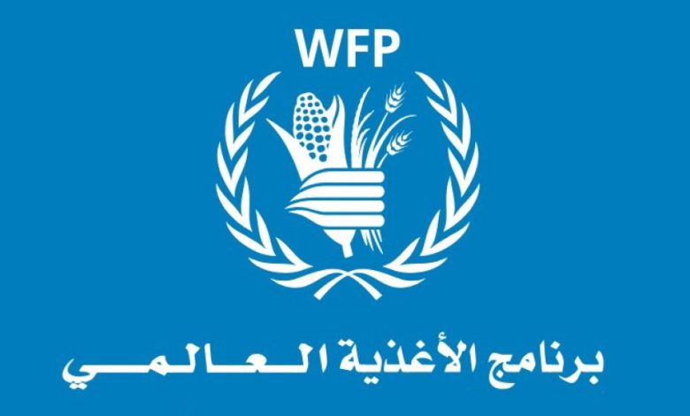 برنامج الغذاء العالمي يعلن عن فرص عمل جديدة في قطاع غزة