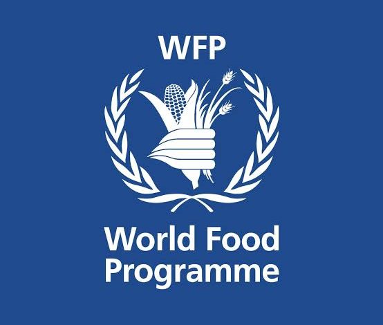 تنويه مهم للأسر في غزة.. دعوة لتحديث البيانات لدى برنامج الغذاء العالمي