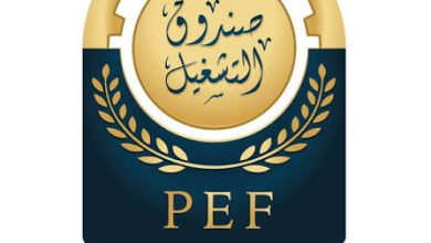 فتح باب التسجيل لفرص تشغيل مؤقتة في قطاع غزة بتمويل دولي.. 100 فرصة عمل متاحة