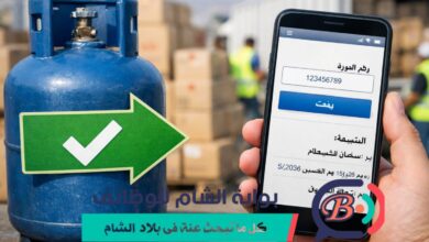 رابط check 2026 للاستعلام عن المساعدات والكشوفات باستخدام رقم الهوية