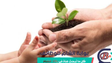 واجهة تطبيق كفالة لرعاية أيتام حرب غزة - جمعية البركة للعمل الخيري.