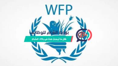 رابط التقديم في مساعدات برنامج الغذاء العالمي WFP