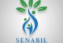 رابط تسجيل مساعدات جمعية سنابل الجديد 2026 قطاع غزة | بوابة الشام