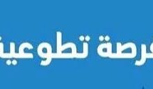 وزارة الصحة بغزة تطلق المنصة الإلكترونية الدائمة لتسجيل متطوعي التمريض 2026