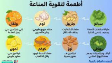 أفضل الأطعمة لتقوية المناعة: درعك الطبيعي لمواجهة الأمراض والعدوى