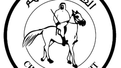 رابط تسجيل وتحديث بيانات الفارس الشهم 3 للأسر ومخيمات غزة - بوابة الشام