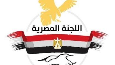 اللجنة المصرية تطلق حملة النظارات الطبية للمصريين في قطاع غزة (رابط التسجيل)