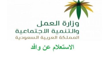 الاستعلام عن طلب مساند في السعودية حالة طلب التأشيرة خدمات السعودية