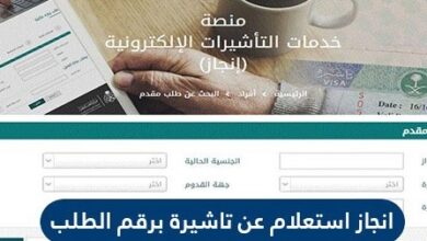 الاستعلام عن تأشيرة برقم الطلب عبر منصة انجاز
