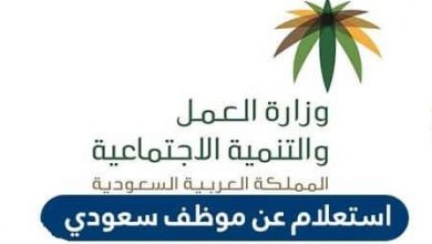 الاستعلام عن موظف سعودي في التأمينات الاجتماعية