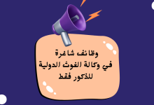 فرصة ذهبية للمعلمين: وظائف شاغرة في وكالة الغوث الدولية للذكور فقط