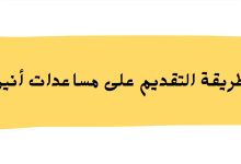 طريقة التقديم على مساعدات أنيرا