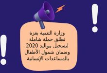 وزارة التنمية بغزة تطلق حملة شاملة لتسجيل مواليد 2020 وضمان شمول الأطفال بالمساعدات الإنسانية