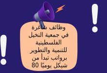 وظائف شاغرة في جمعية النخيل الفلسطينية للتنمية والتطوير برواتب تبدأ من 80 شيكل يوميًَا