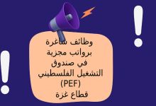 وظائف شاغرة برواتب مجزية في صندوق التشغيل الفلسطيني (PEF) في قطاع غزة