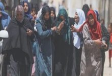 مشروع دعم وتعزيز صمود السيدات الأرامل والمطلقات