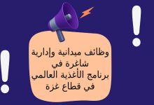 وظائف ميدانية وإدارية شاغرة في برنامج الأغذية العالمي في قطاع غزة