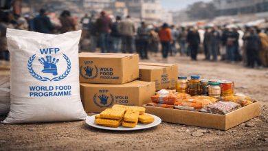 مساعدات غذائية عاجلة للأسر في قطاع غزة | برنامج الغذاء العالمي يفتح باب تحديث البيانات