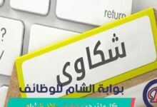 واجهة تقديم شكاوى وزارة التنمية واليونيسيف للمساعدات المالية.
