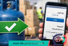 رابط check 2026 للاستعلام عن المساعدات والكشوفات باستخدام رقم الهوية