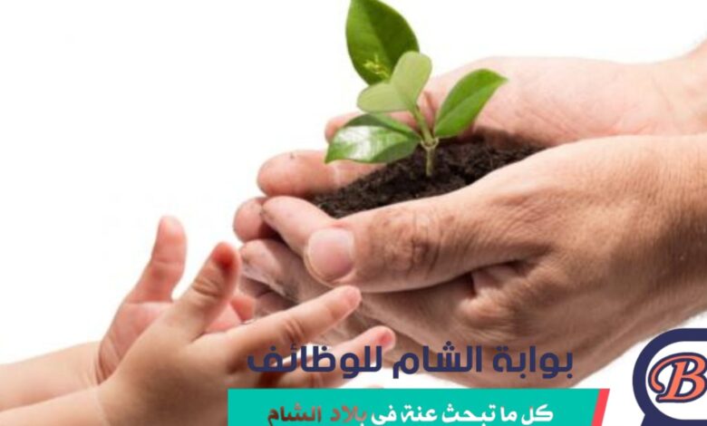 واجهة تطبيق كفالة لرعاية أيتام حرب غزة - جمعية البركة للعمل الخيري.