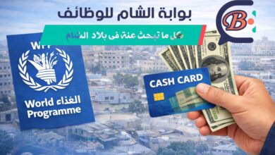 المساعدات النقدية في غزة 2026 من برنامج الأغذية العالمي WFP وتحديث بيانات المستفيدين
