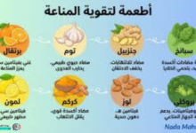 أفضل الأطعمة لتقوية المناعة: درعك الطبيعي لمواجهة الأمراض والعدوى